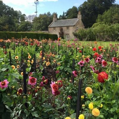 中欧官方体育app下载截图