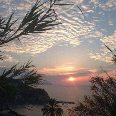 AG大厅网址下载手机版