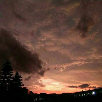 天天中彩票手机app下载