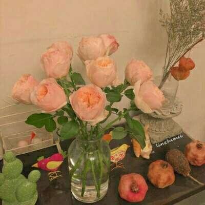 im电竞官方官网下载手机版